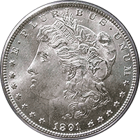 1891 CC Morgan Silver Dollar